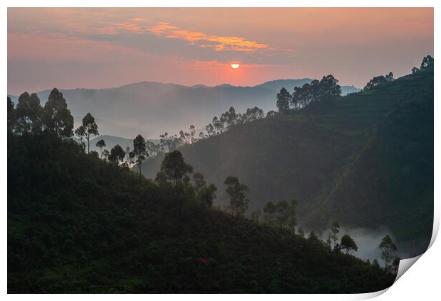 Sunrise in Bwindi Impenetrable Forest, Uganda Print by Dietmar Rauscher