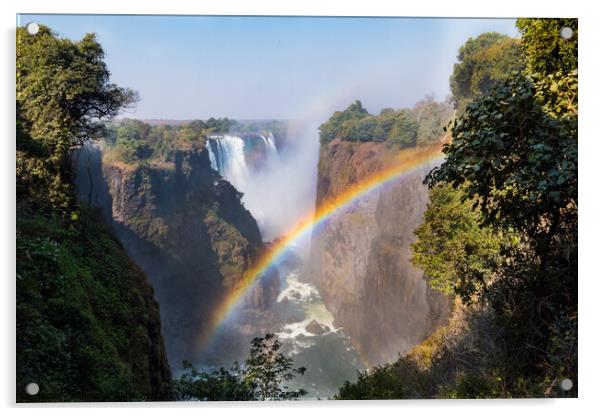 Victoria Falls and Gorge with Rainbow Acrylic by Dietmar Rauscher
