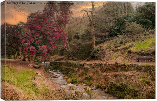 St Austell,Menacuddle Well. waterfall and azalea t Canvas Print by kathy white