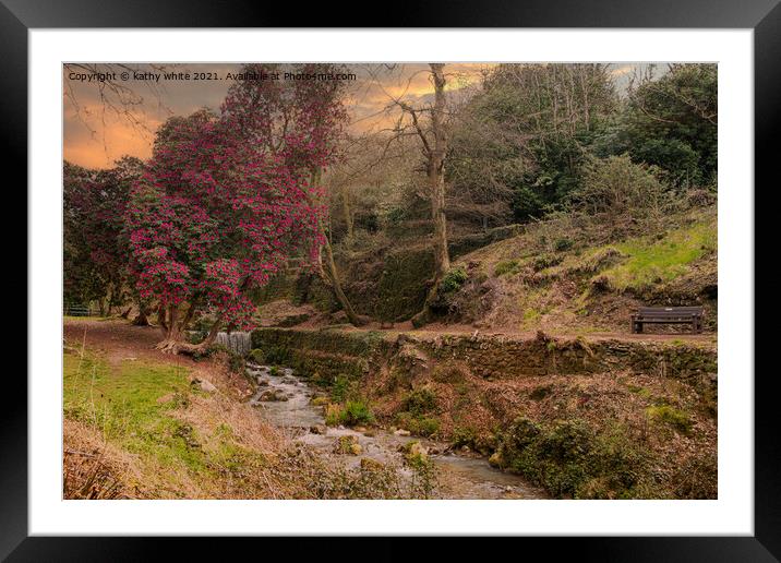 St Austell,Menacuddle Well. waterfall and azalea t Framed Mounted Print by kathy white