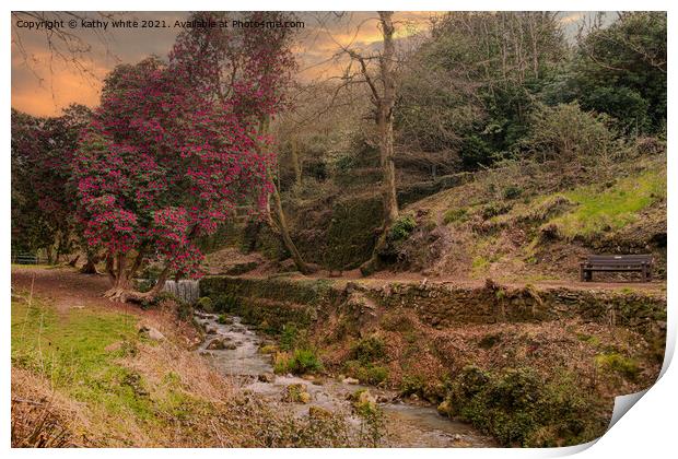 St Austell,Menacuddle Well. waterfall and azalea t Print by kathy white