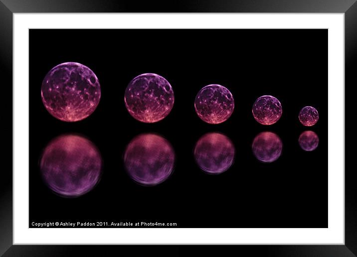 Five reflected moons Framed Mounted Print by Ashley Paddon