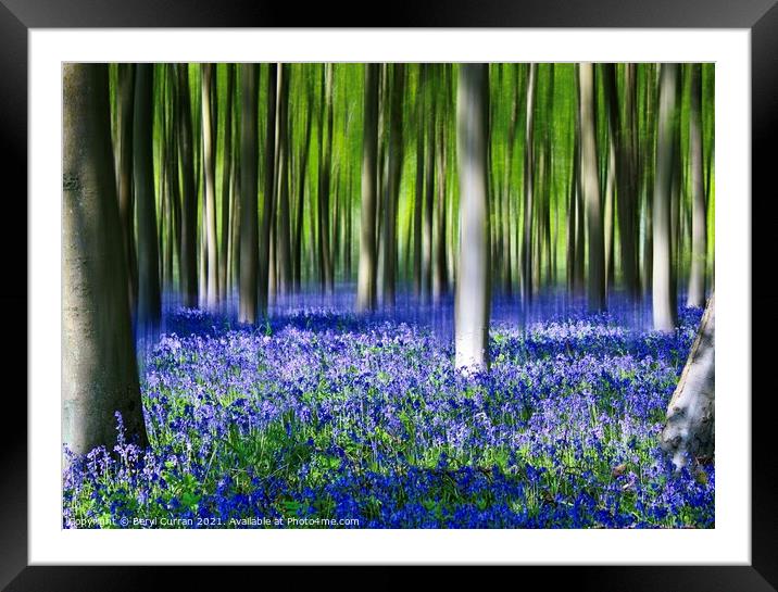 Enchanted Bluebell Forest Framed Mounted Print by Beryl Curran