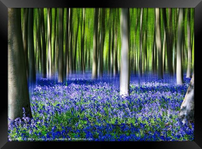 Enchanted Bluebell Forest Framed Print by Beryl Curran