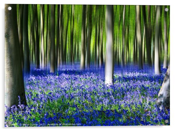 Enchanted Bluebell Forest Acrylic by Beryl Curran