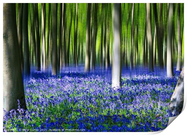 Enchanted Bluebell Forest Print by Beryl Curran