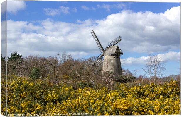 Bidston Windmill in Spring Canvas Print by Philip Brookes