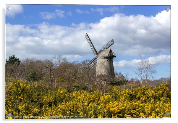 Bidston Windmill in Spring Acrylic by Philip Brookes