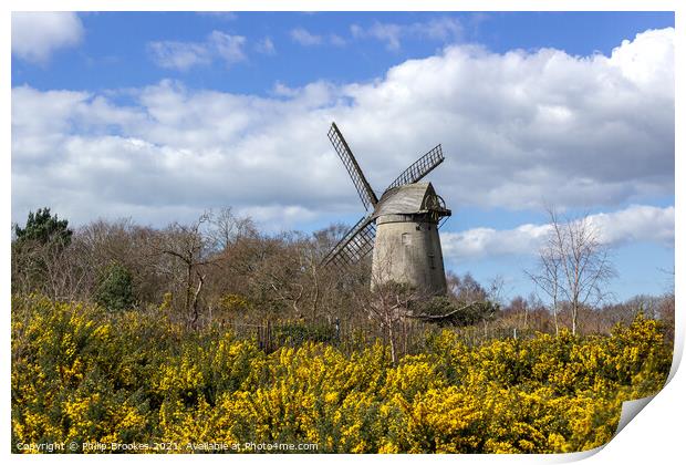 Bidston Windmill in Spring Print by Philip Brookes