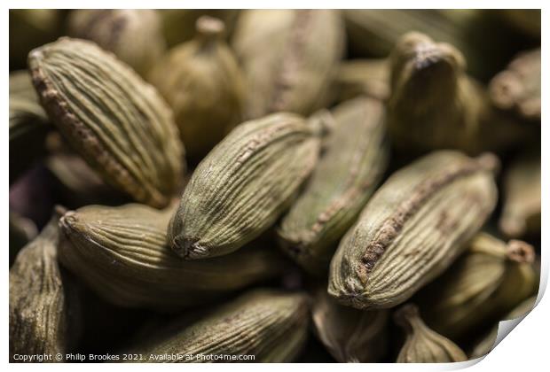 Closeup of Cardamom pods Print by Philip Brookes