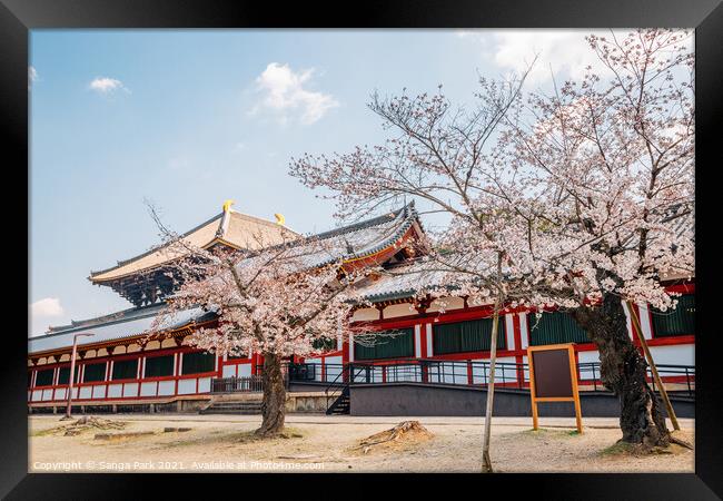 Todai-ji temple with cherry blossom Framed Print by Sanga Park
