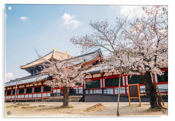 Todai-ji temple with cherry blossom Acrylic by Sanga Park