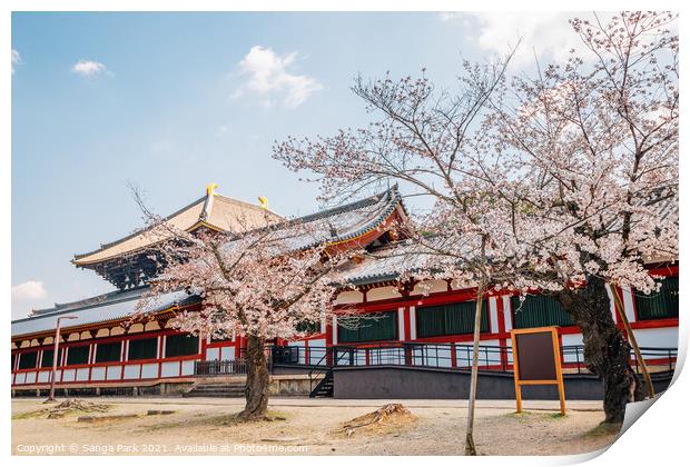 Todai-ji temple with cherry blossom Print by Sanga Park