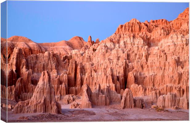 Cathedral Gorge Canvas Print by peter schickert