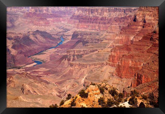 Grand Canyon USA Framed Print by peter schickert
