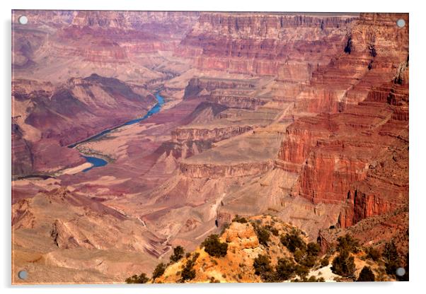 Grand Canyon USA Acrylic by peter schickert