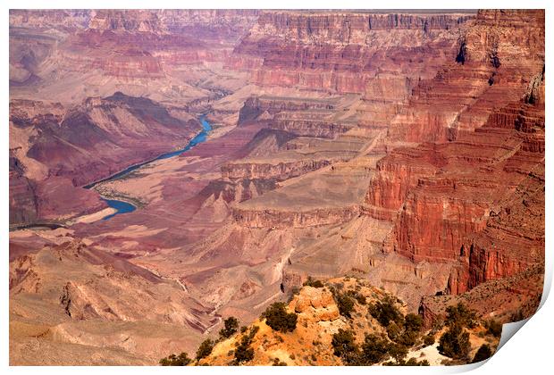 Grand Canyon USA Print by peter schickert