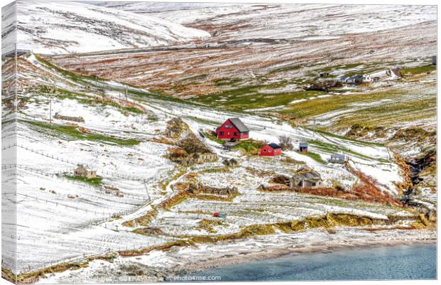 Shetland Red Houses in the snow Canvas Print by Richard Ashbee