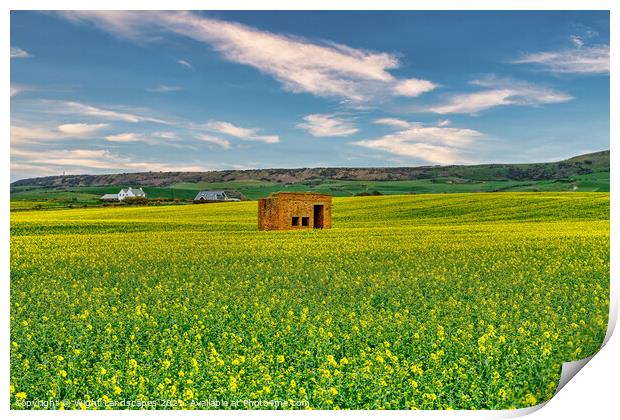 Rapeseed Field Lookout Post  Print by Wight Landscapes