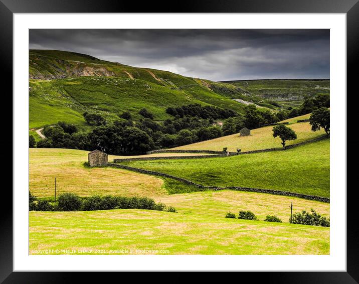 Lake district landscape near Coniston 483  Framed Mounted Print by PHILIP CHALK