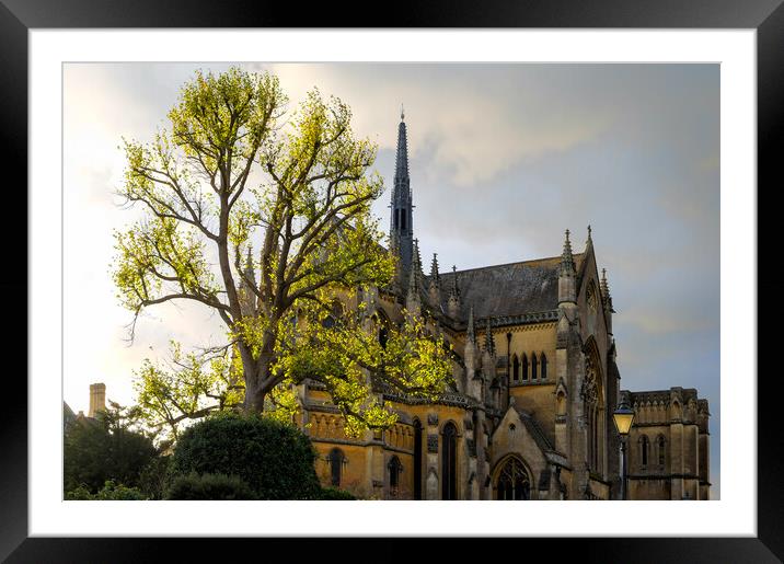 Arundel Cathedral Framed Mounted Print by Mark Jones