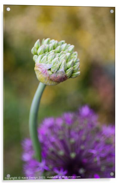 Allium Bud Acrylic by Kasia Design