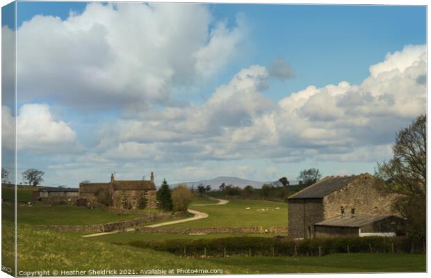 Ingleborough and picturesque farms Canvas Print by Heather Sheldrick