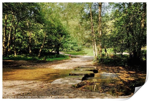 Cannock Chase Stepping Stones Print by Diana Mower