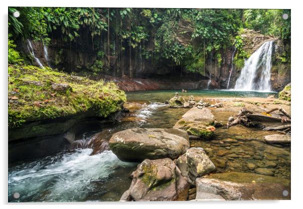 Waterfall Guadeloupe Acrylic by peter schickert