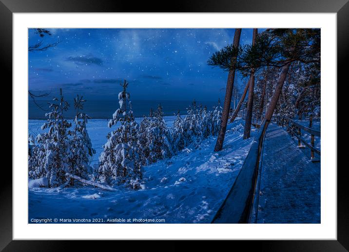 Magic winter night landscape with snow covered fir Framed Mounted Print by Maria Vonotna