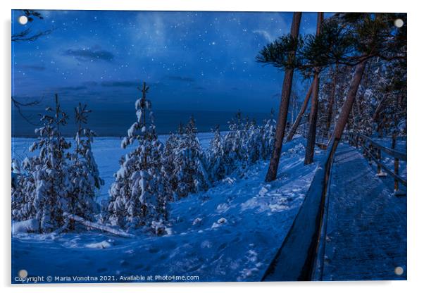Magic winter night landscape with snow covered fir Acrylic by Maria Vonotna