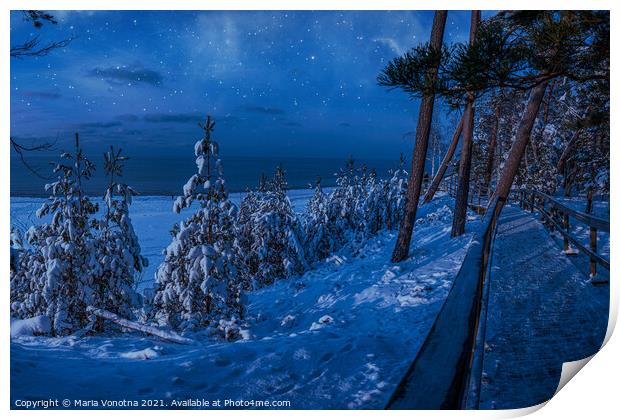 Magic winter night landscape with snow covered fir Print by Maria Vonotna