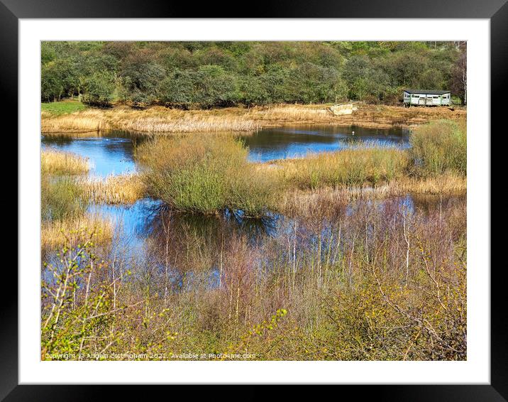 Wetlands at Fairburn Ings Framed Mounted Print by Angela Cottingham