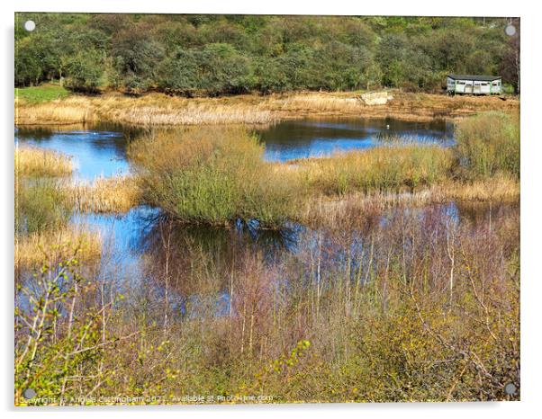 Wetlands at Fairburn Ings Acrylic by Angela Cottingham