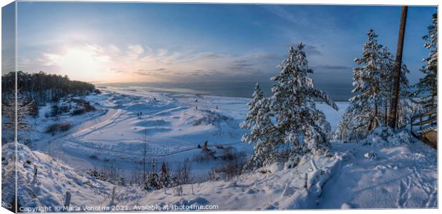 Snowy fir trees near Baltic sea coast Canvas Print by Maria Vonotna
