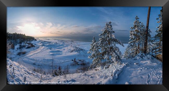 Snowy fir trees near Baltic sea coast Framed Print by Maria Vonotna