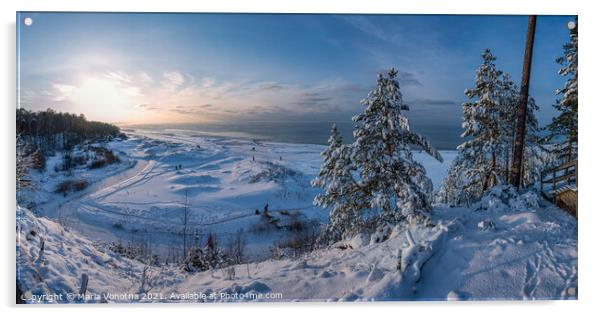 Snowy fir trees near Baltic sea coast Acrylic by Maria Vonotna