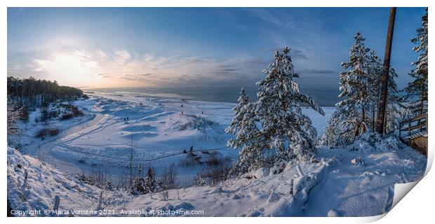 Snowy fir trees near Baltic sea coast Print by Maria Vonotna