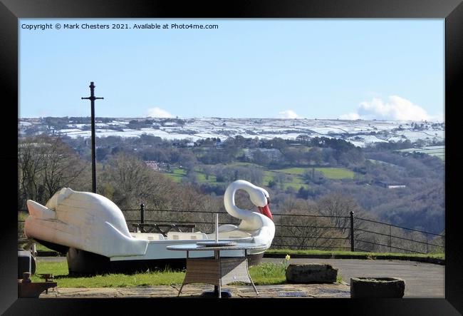 Alton Towers Retired Swan admiring the view Framed Print by Mark Chesters