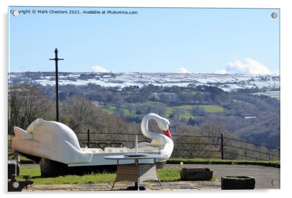 Alton Towers Retired Swan admiring the view Acrylic by Mark Chesters