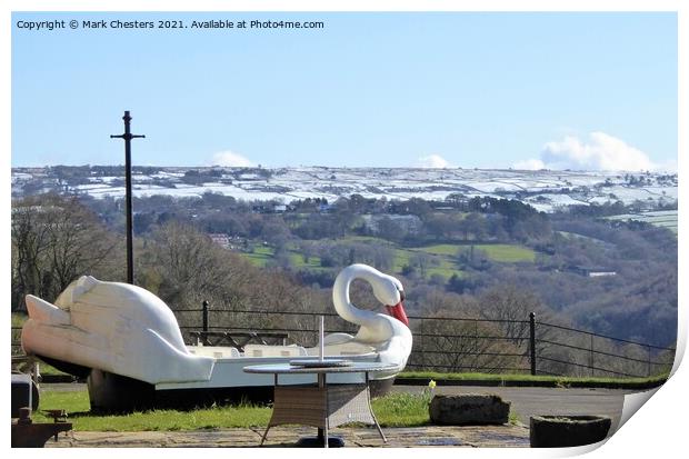 Alton Towers Retired Swan admiring the view Print by Mark Chesters