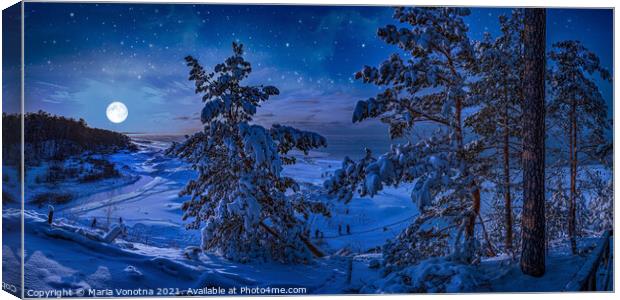 Snowy Baltic sea coast with fir trees in winter ni Canvas Print by Maria Vonotna