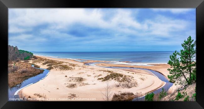 Sand beach and Baltic sea surrounded by conifer tr Framed Print by Maria Vonotna