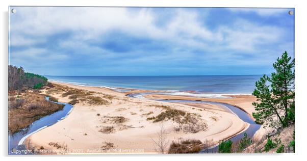 Sand beach and Baltic sea surrounded by conifer tr Acrylic by Maria Vonotna
