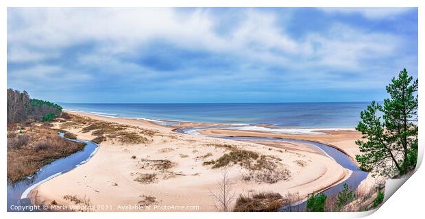 Sand beach and Baltic sea surrounded by conifer tr Print by Maria Vonotna