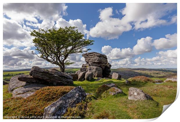 Emsworthy Rocks - Classic View Print by Bruce Little