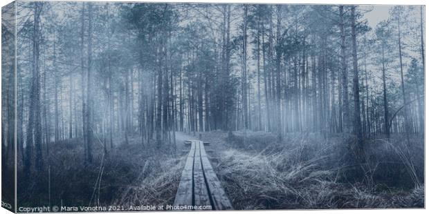 Misty coniferous forest with pine trees and wooden path Canvas Print by Maria Vonotna