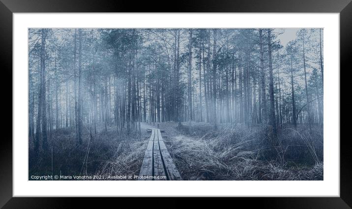 Misty coniferous forest with pine trees and wooden path Framed Mounted Print by Maria Vonotna