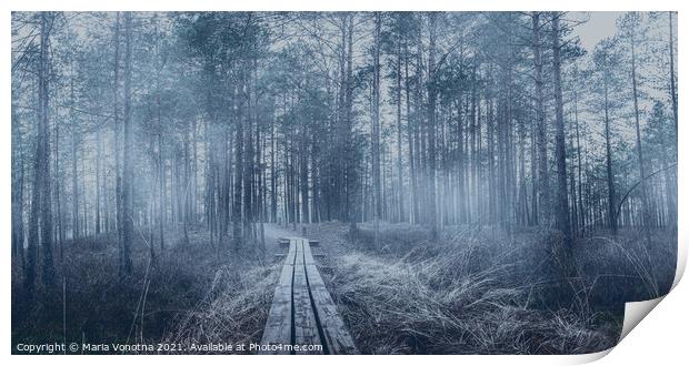 Misty coniferous forest with pine trees and wooden path Print by Maria Vonotna