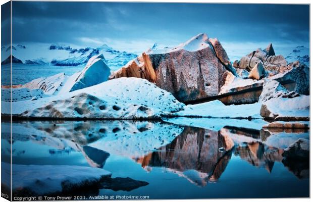 Glacier Kings Canvas Print by Tony Prower
